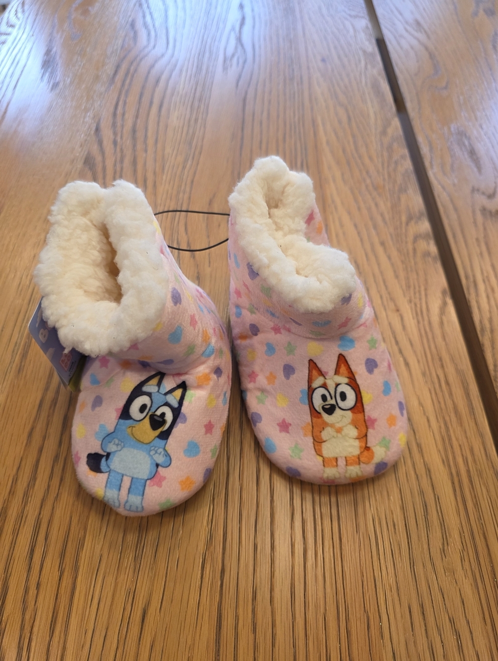 Bluey Slippers